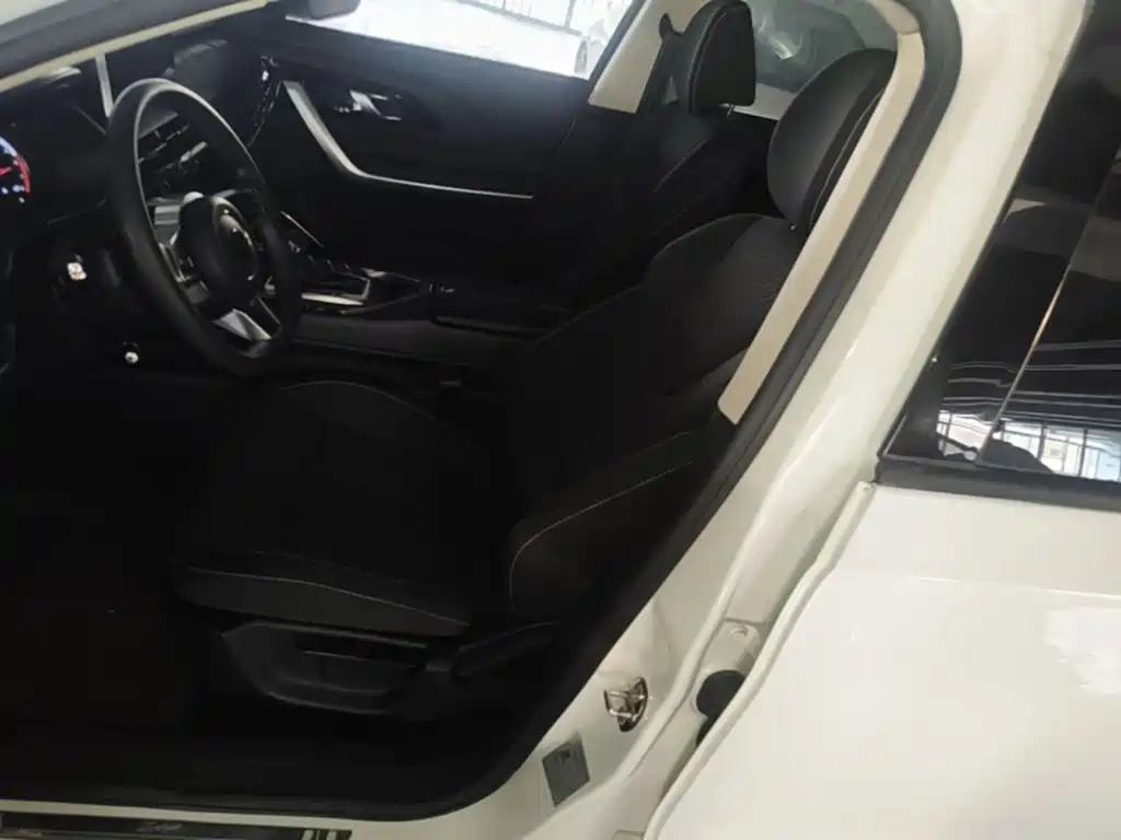 Zotye Zotye T500 — миниатюра 15