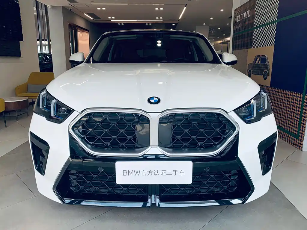BMW X2 (Import) — миниатюра 3