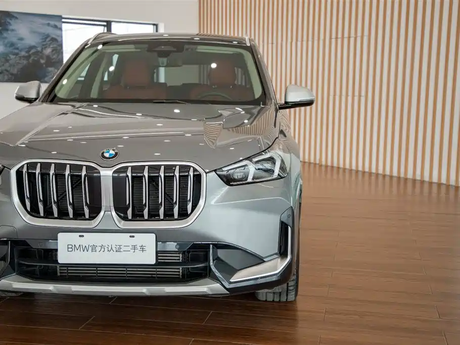 BMW X1 — миниатюра 9