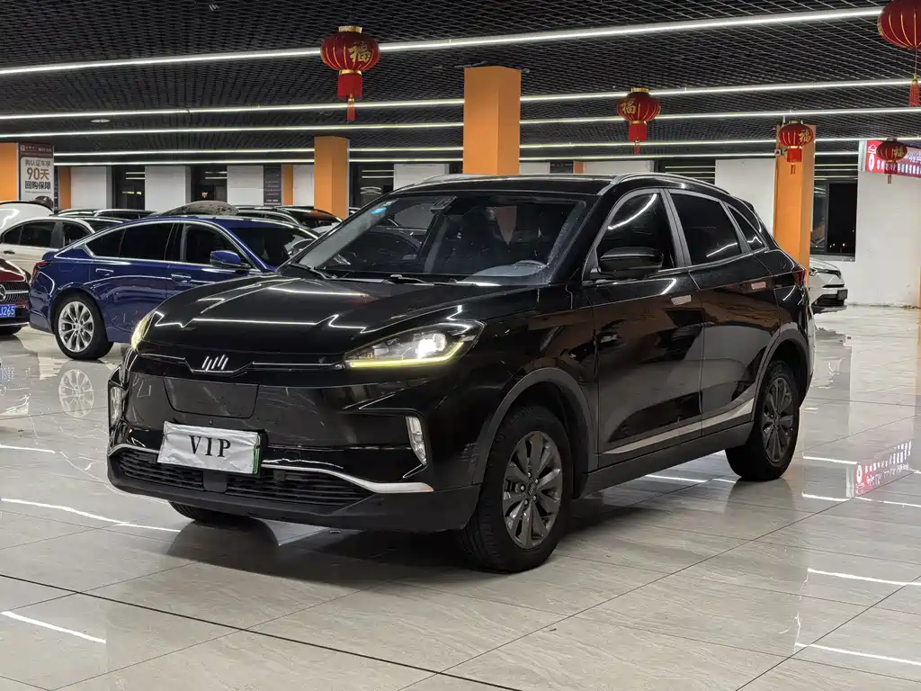 Weltmeister WEIMA EX5