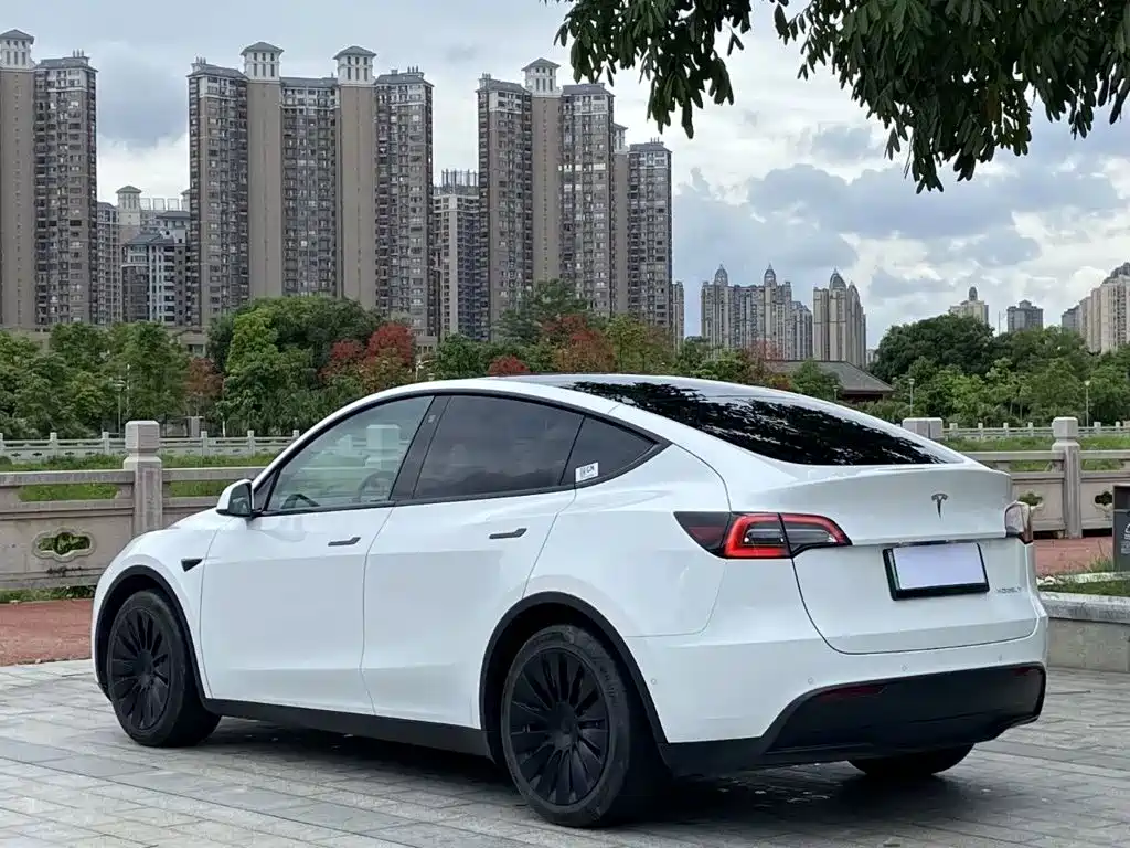 Tesla Model Y — миниатюра 7