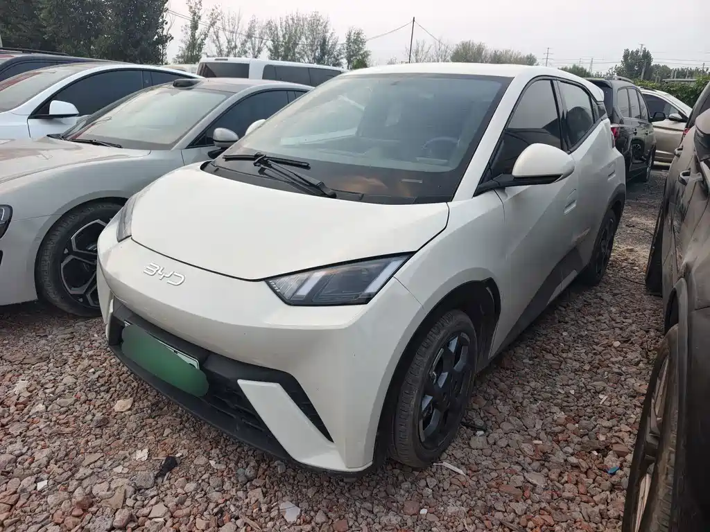 BYD Seagull