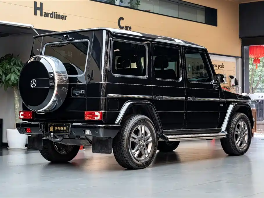 Mercedes-Benz G-Class G 2010 G 500