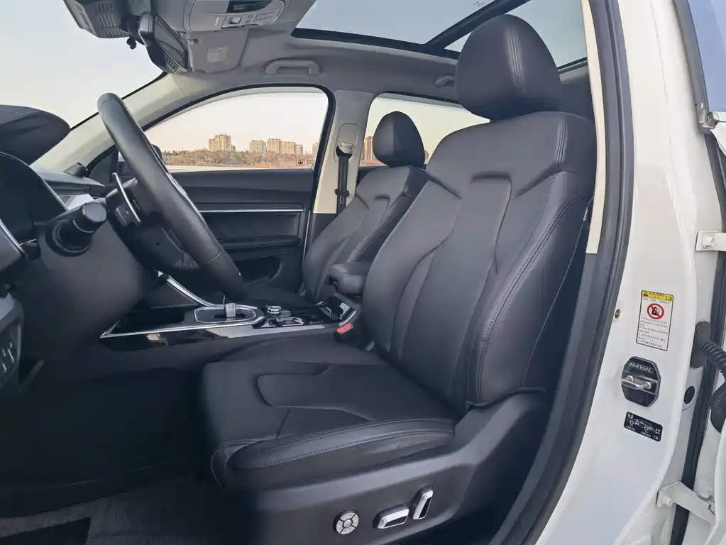 HAVAL  H6
