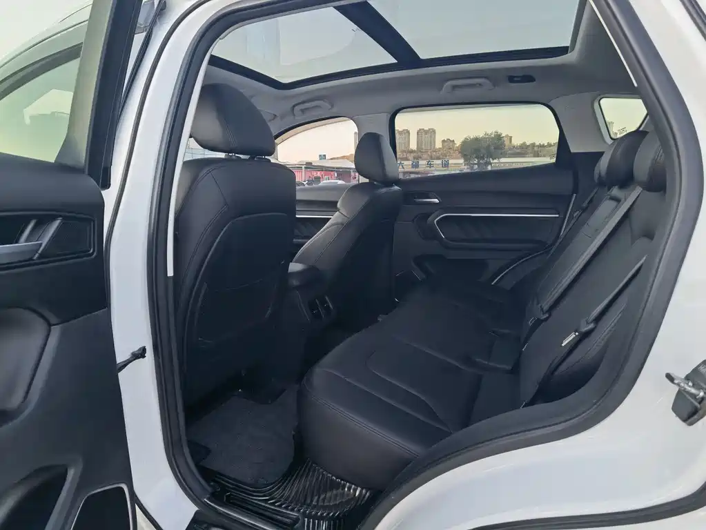 HAVAL  H6