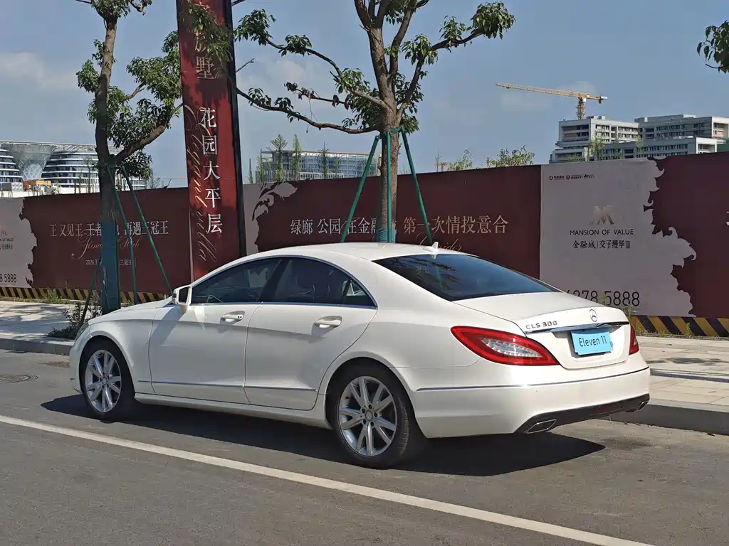 Mercedes-Benz CLS CLS 300 CGI, фото 4
