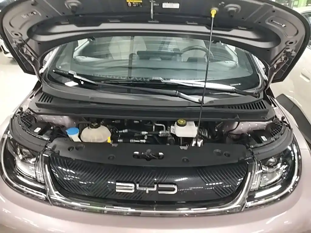 BYD Dolphin — миниатюра 20