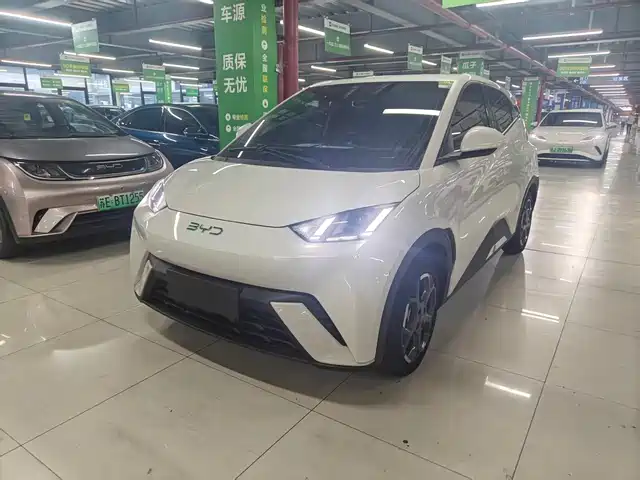 2024 BYD Seagull
