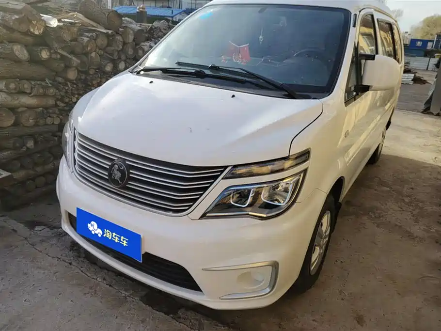 Fengxing Lingzhi 2022