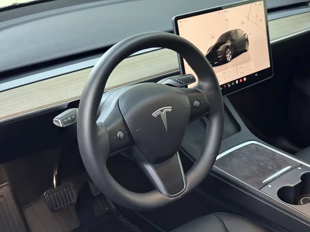 Tesla Model Y — миниатюра 17