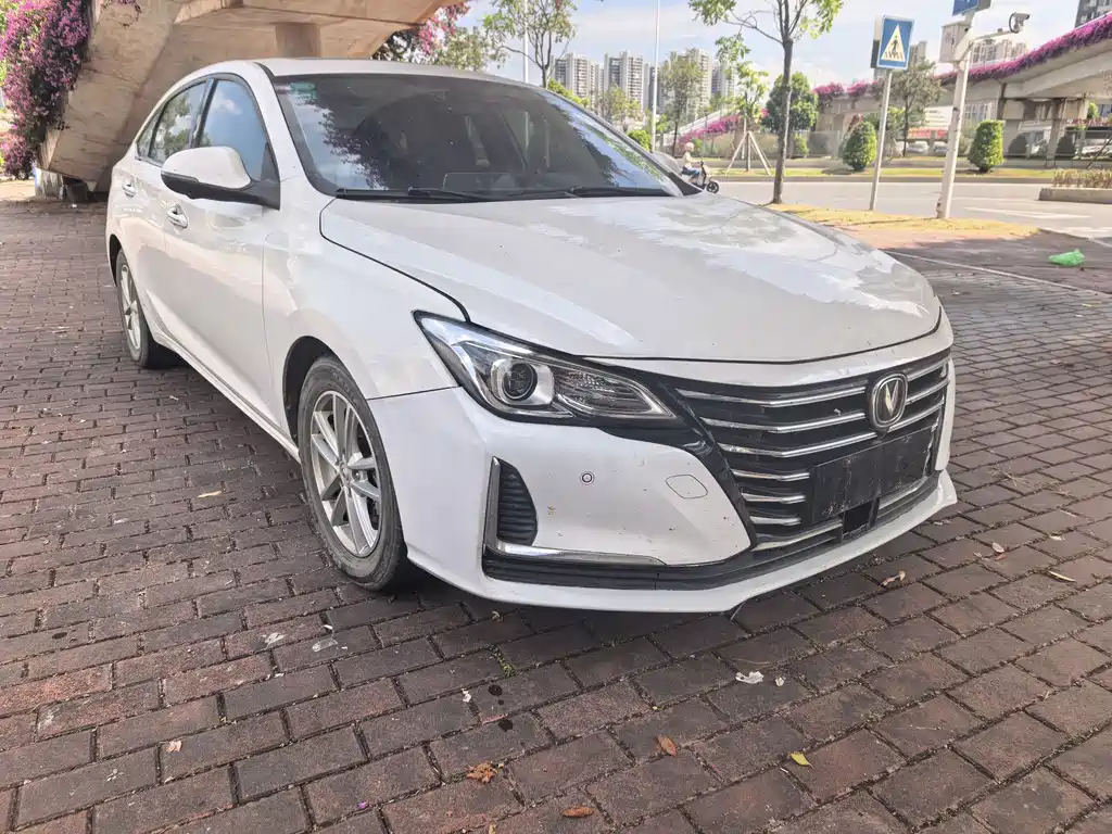 Changan Ruicheng CC — миниатюра 3