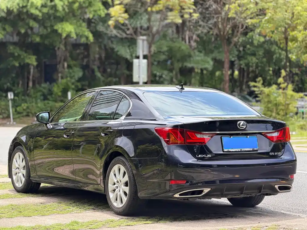 Lexus GS 250 Leading Edition, фото 13
