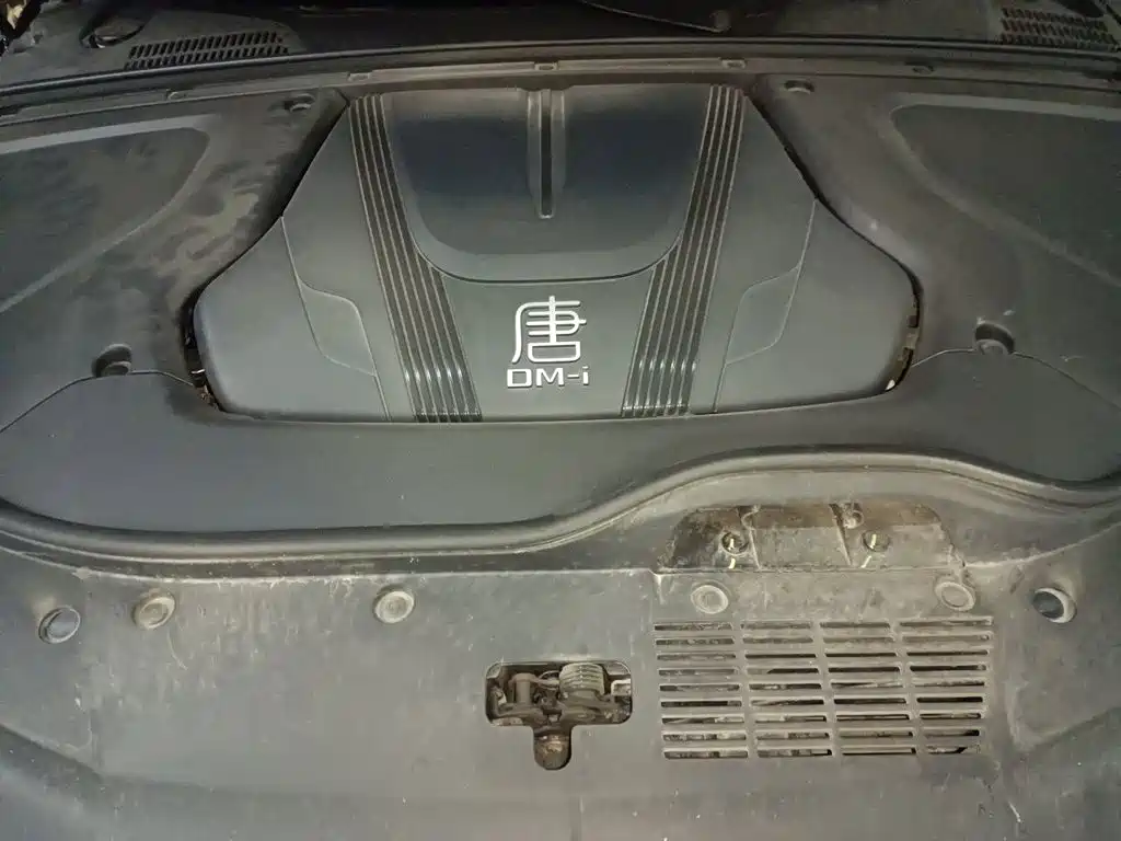 BYD Tang New Energy — миниатюра 21