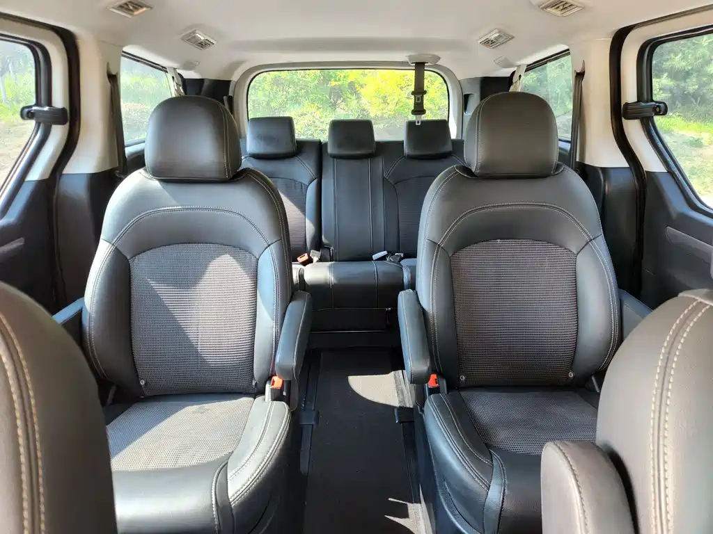 SAIC MAXUS CHASE G10