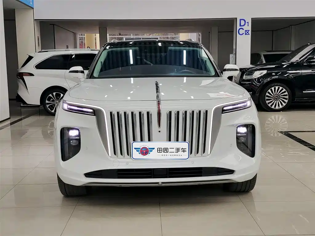 Hongqi HONGQI E HS9