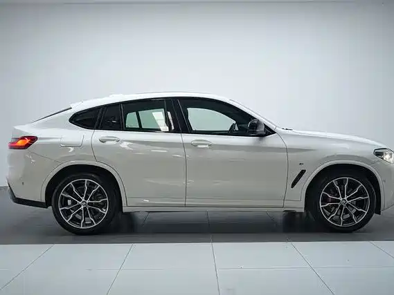 BMW X4 2019 xDrive25i M Sport