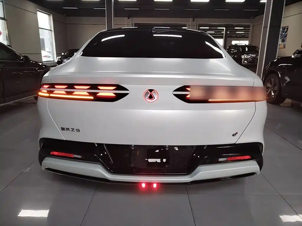 Denza Denza Z9 — миниатюра 6