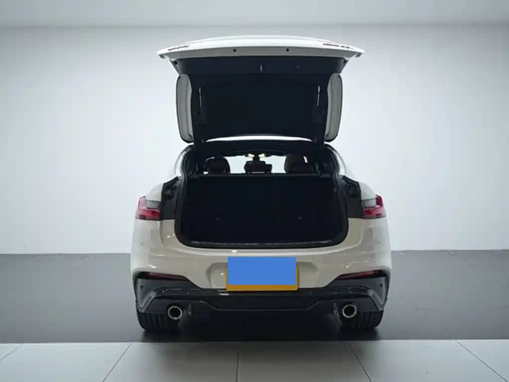 BMW X4 2019 xDrive25i M Sport