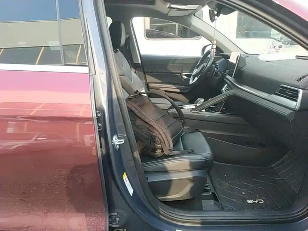 BYD Pro — миниатюра 25