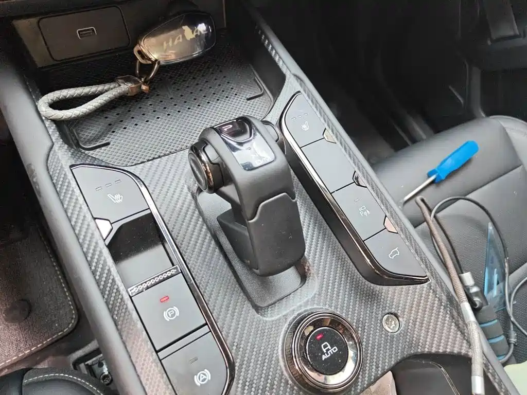 Haval Big Dog PLUS — миниатюра 7