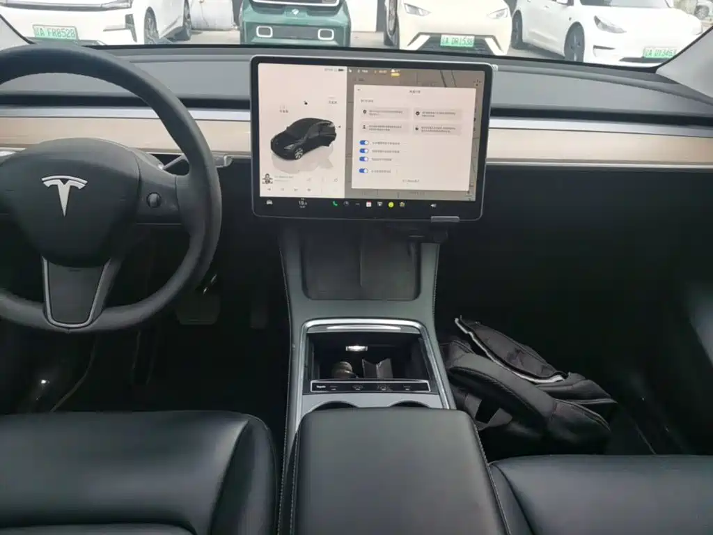 Tesla Model Y — миниатюра 13