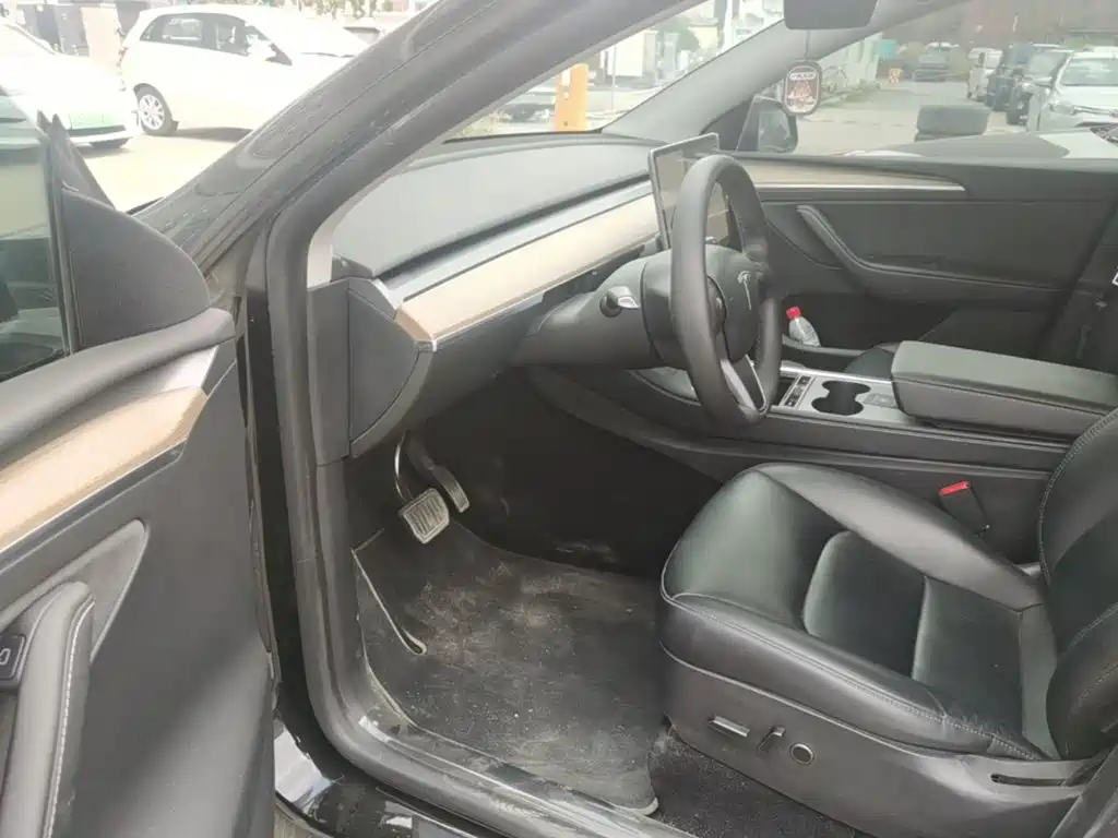 Tesla Model Y — миниатюра 16