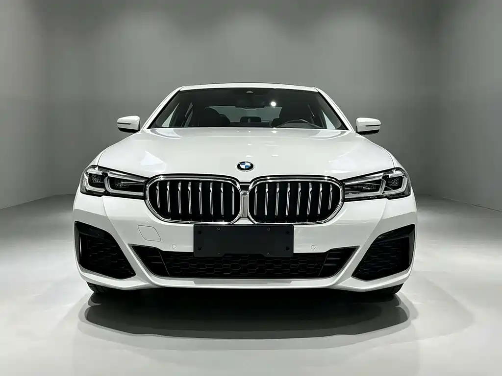 BMW 5 Series — миниатюра 2