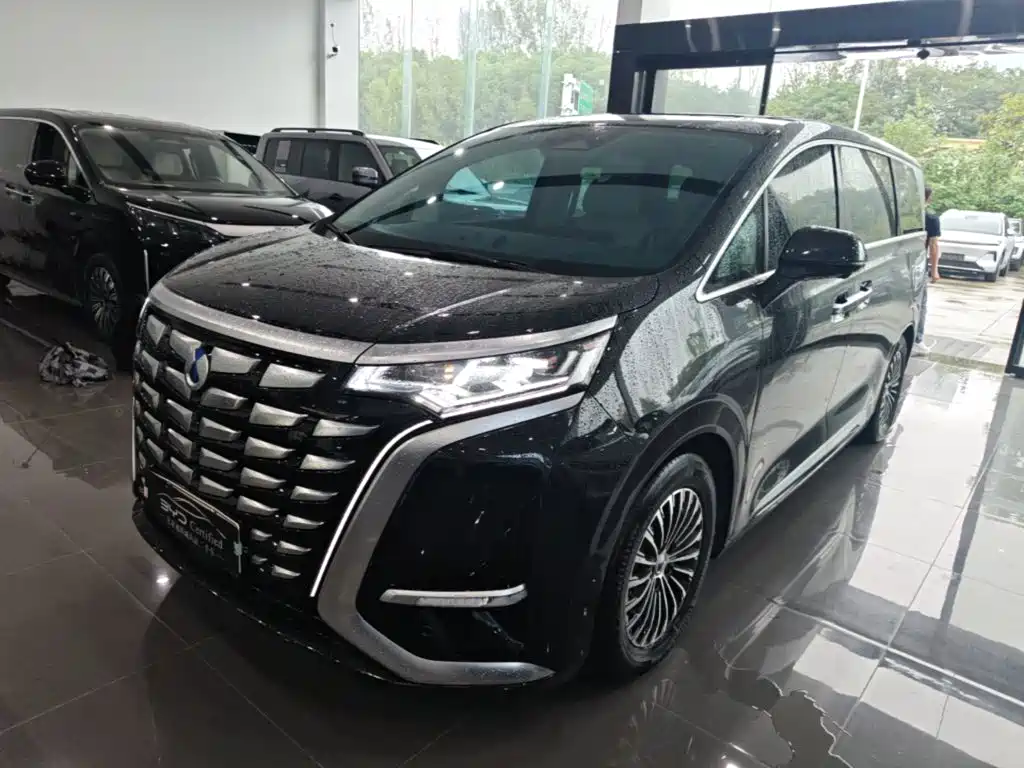 Denza Denza D9 — миниатюра 2