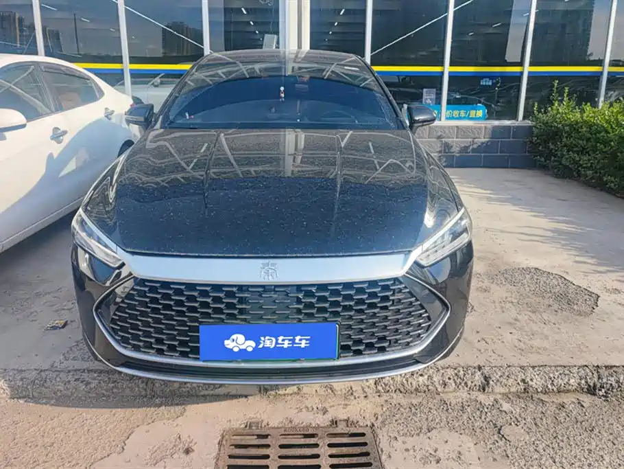 BYD Qin Plus PLUS 2024 DM-i 55KM Lead