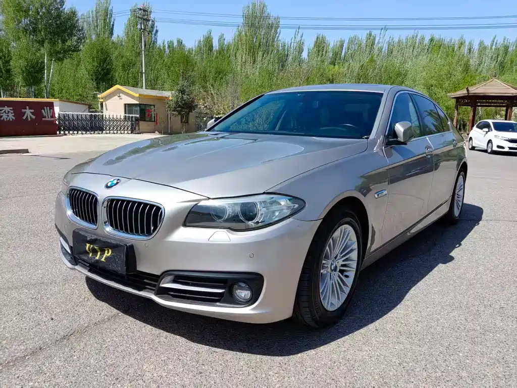 Купить BMW 5 Series