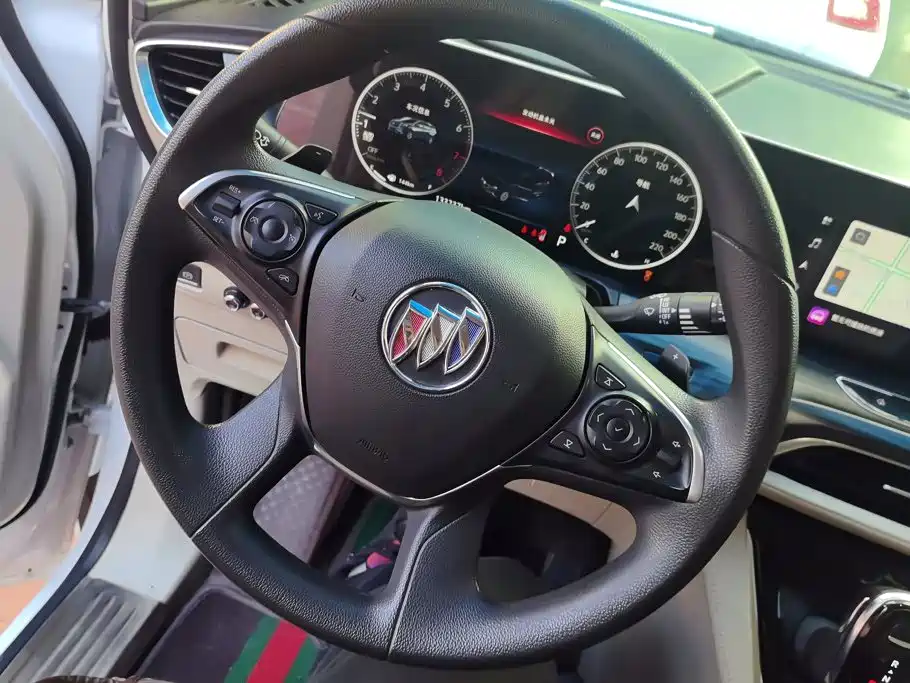 Buick GL8 — миниатюра 15