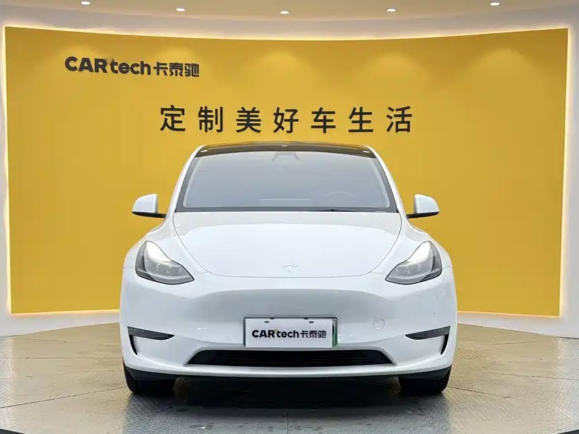 Tesla Model Y — миниатюра 2