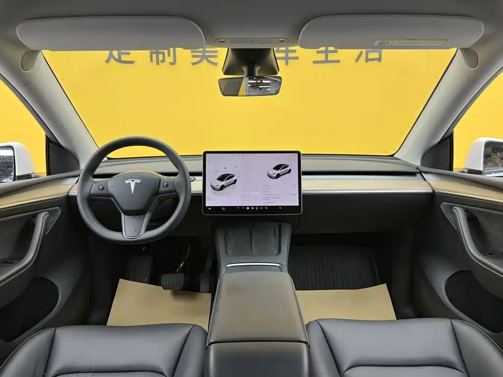 Tesla Model Y — миниатюра 37