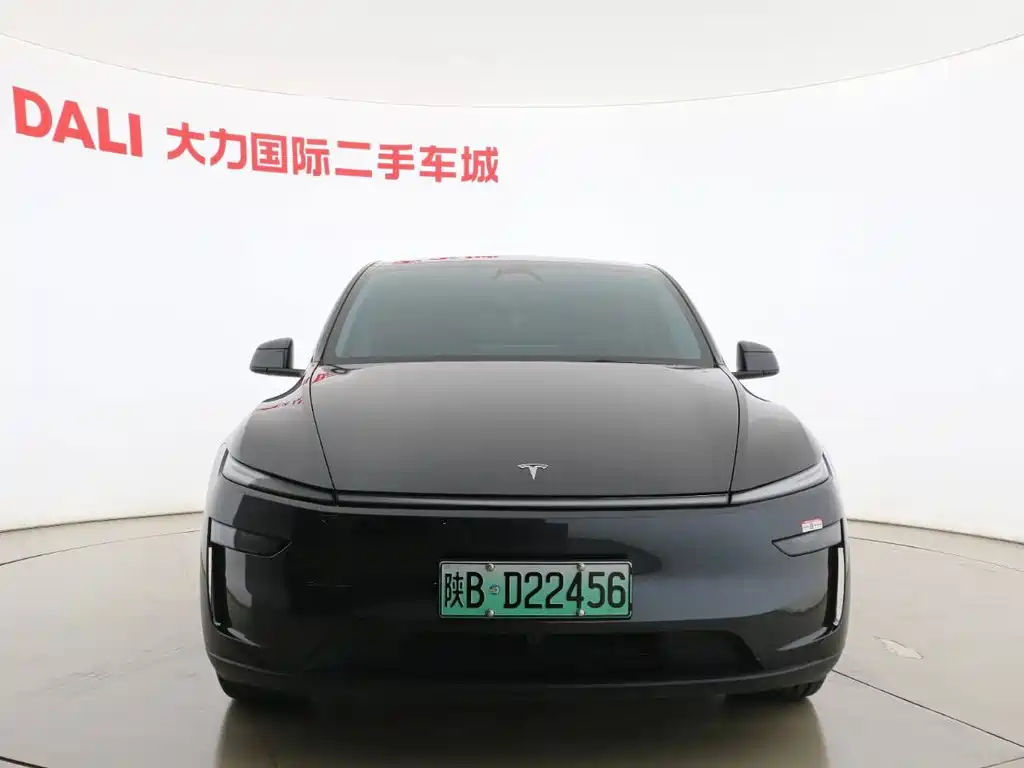 Tesla Model Y — миниатюра 2
