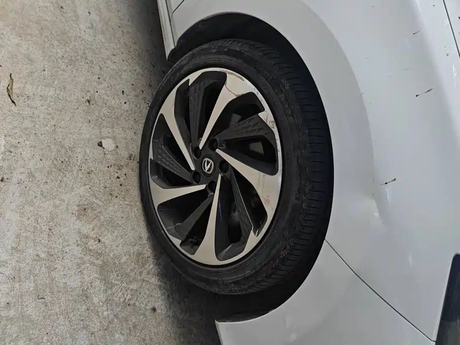 Changan Ruicheng PLUS — миниатюра 6