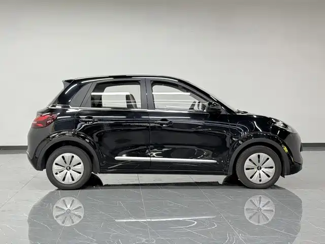 Wuling Bingo — миниатюра 16