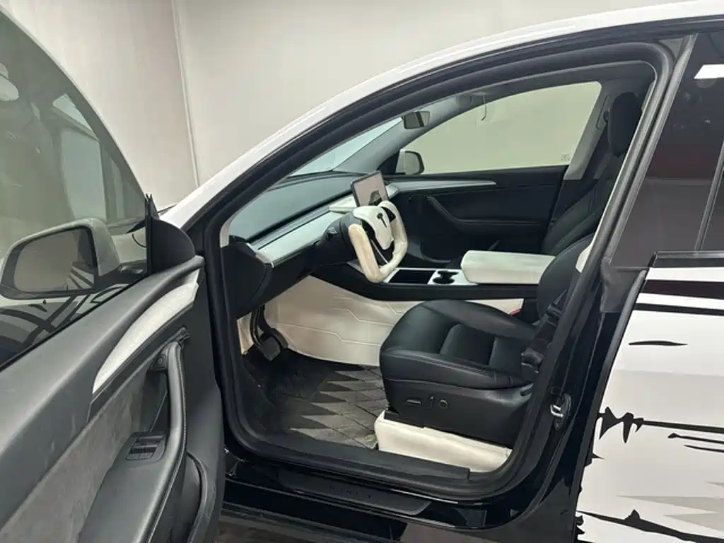 Tesla Model Y — миниатюра 8