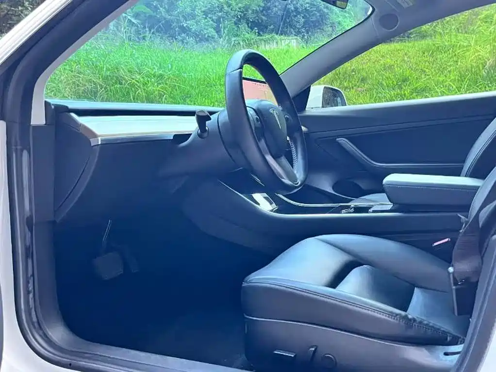Tesla Model 3 — миниатюра 8