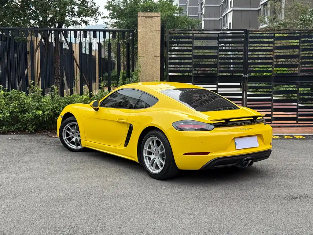 Porsche 718 — миниатюра 4