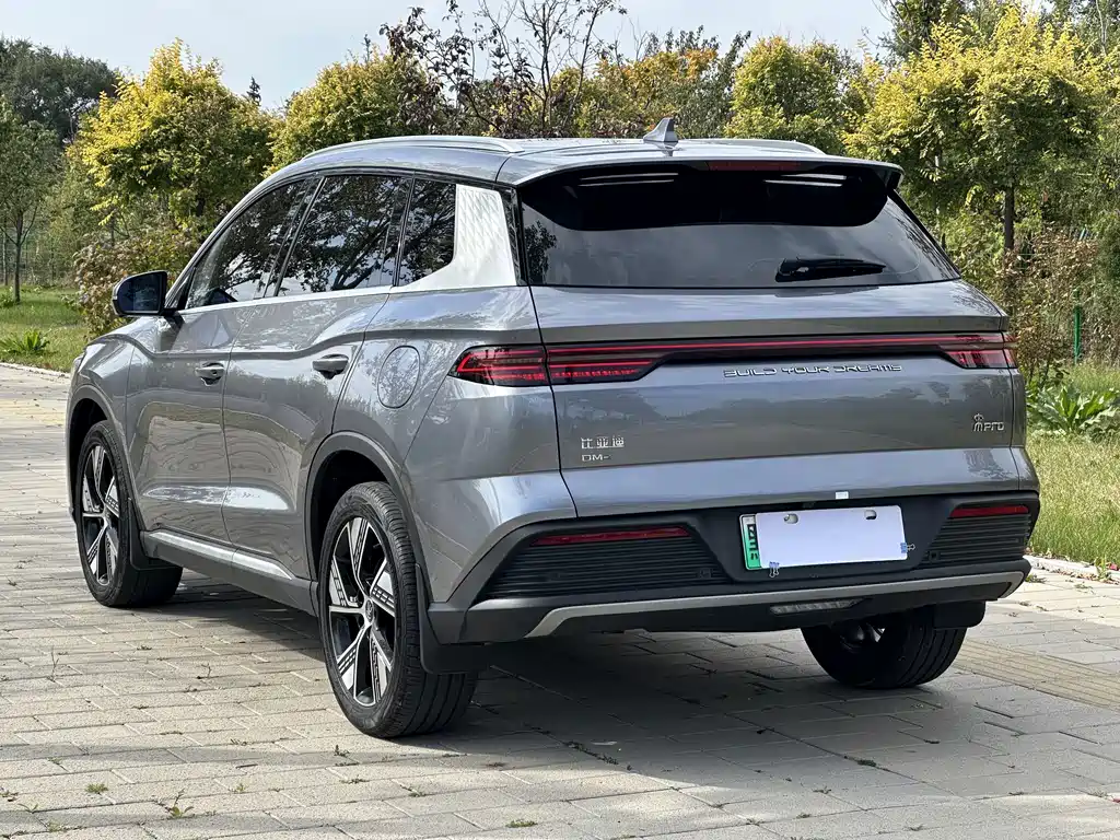 BYD Pro New Energy — миниатюра 4