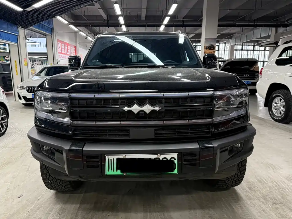 FANG CHENG BAO LEOPARD 5