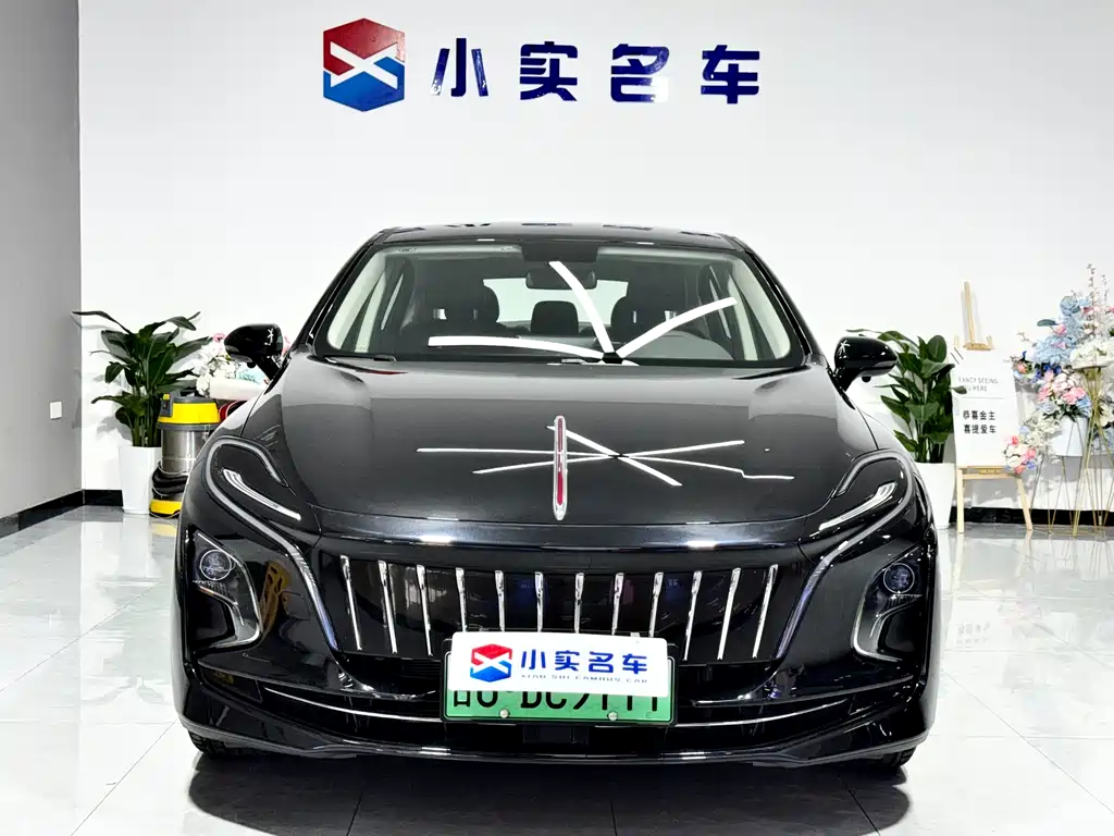 Hongqi HONGQI E QM5