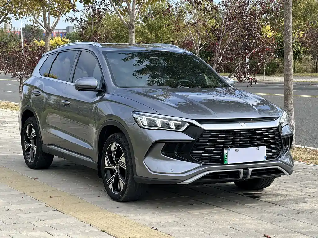 BYD Pro New Energy — миниатюра 3