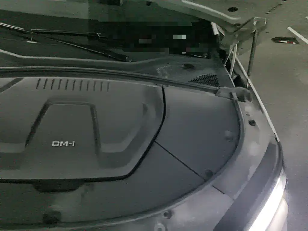 BYD PLUS New Energy — миниатюра 22