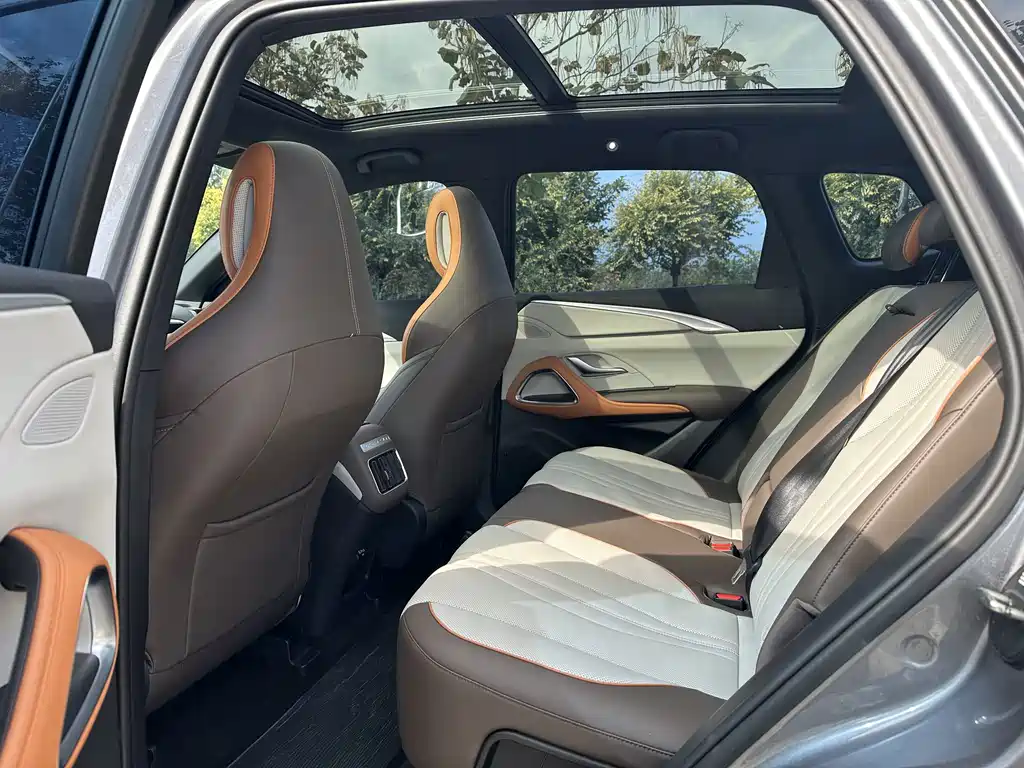 BYD Pro New Energy — миниатюра 8