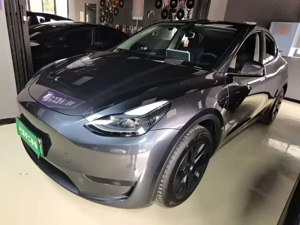 Tesla Model Y — миниатюра 2
