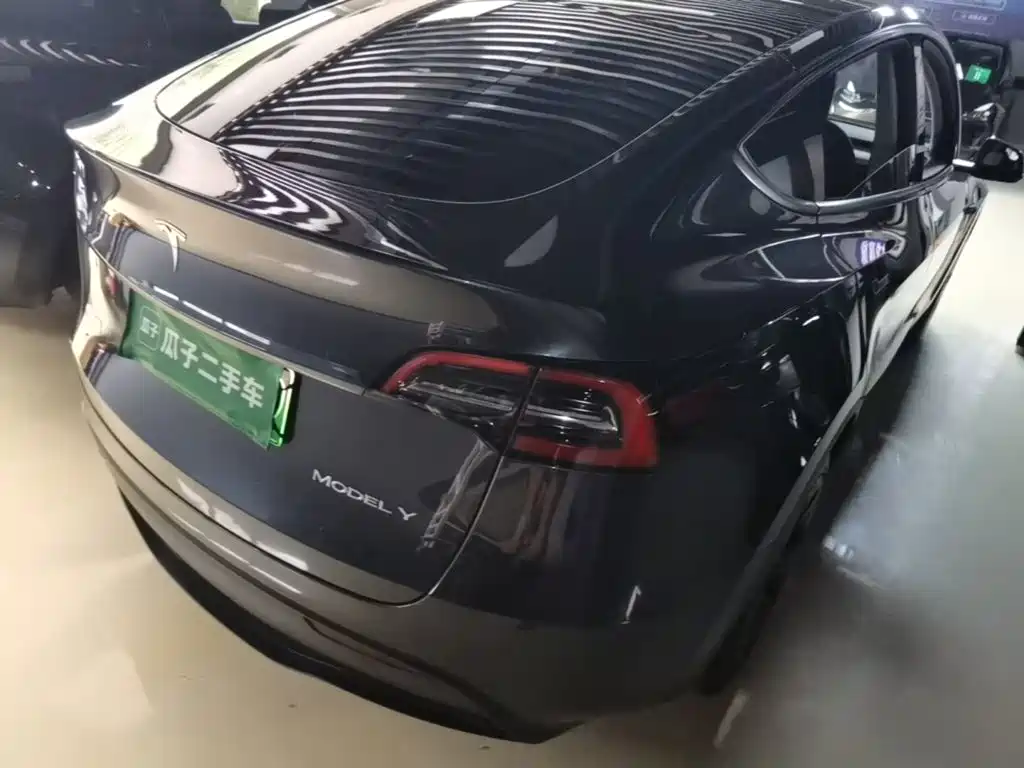 Tesla Model Y — миниатюра 7