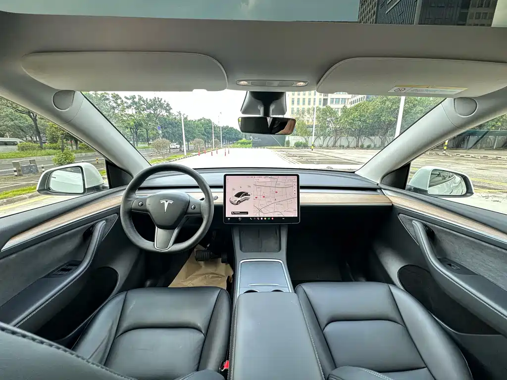 Tesla Model Y — миниатюра 6