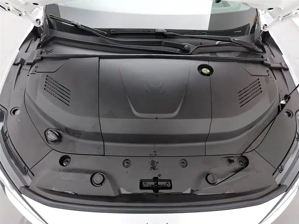 ARCFOX EXTREME FOX POLAR FOX ALPHA S5