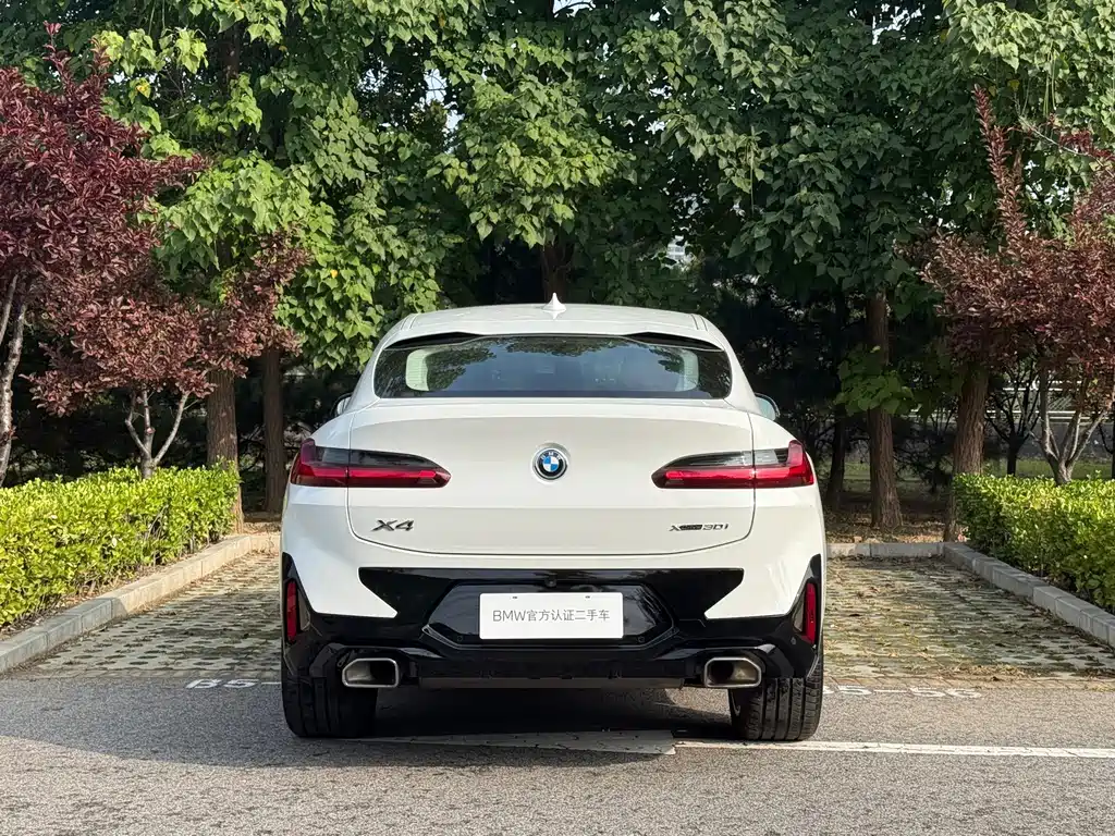 BMW X4 — миниатюра 3
